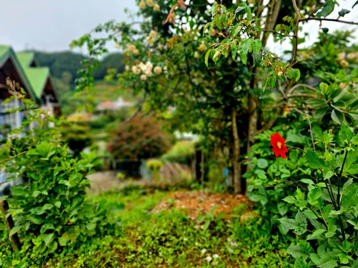 Haven Chalet 努沃勒埃利耶 外观 照片